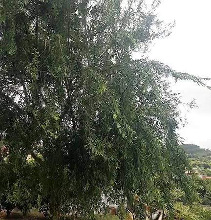 La Esperanza