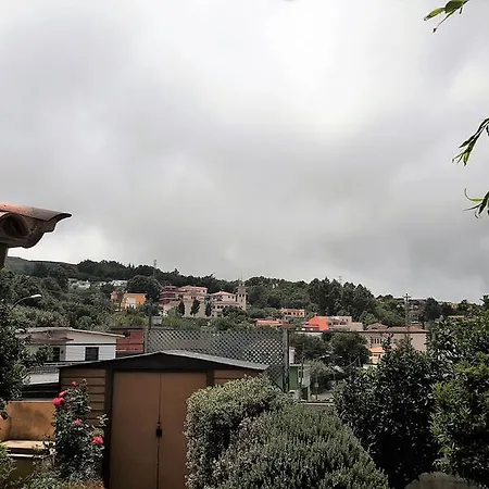 La Esperanza * El Rosario (Tenerife)